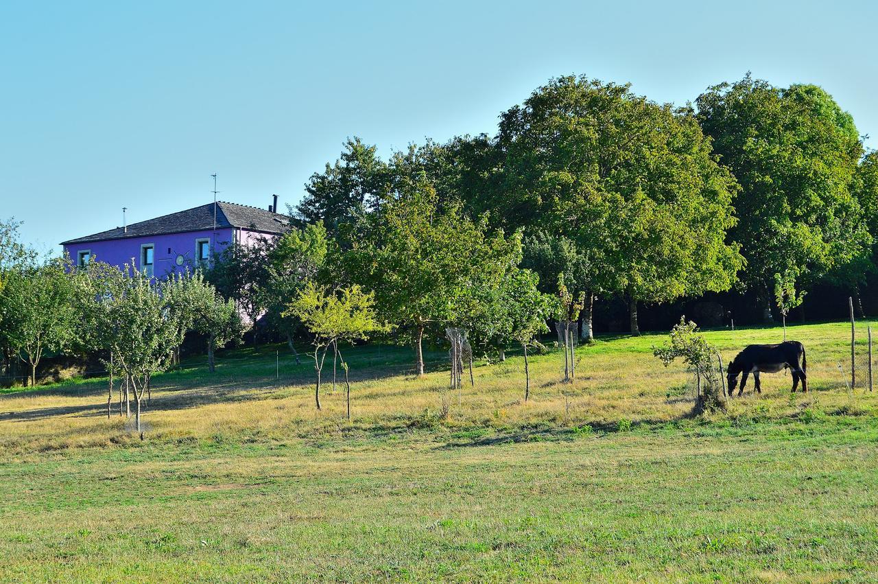 Casa De Baixo Ξενοδοχείο Lugo Εξωτερικό φωτογραφία